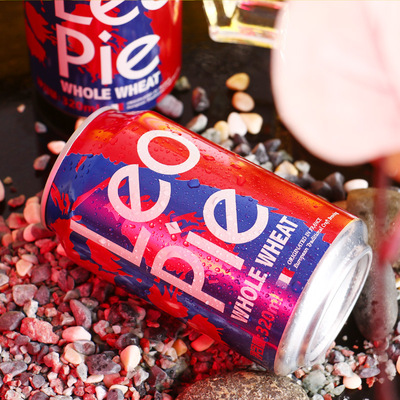 獅派LEOPIE啤酒 全麥手工原漿精釀啤酒 全國招商 支持OEM批發