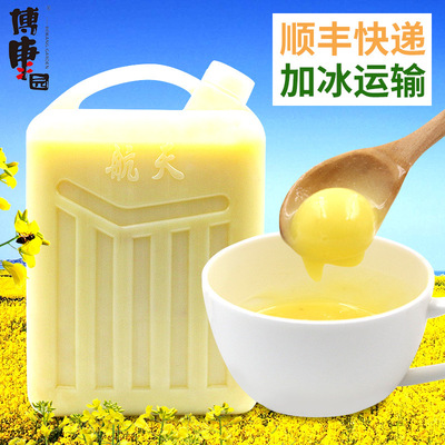 新蜂王漿6kg桶裝蜂皇漿批發