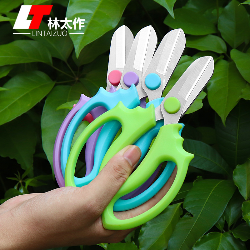 Lin Taizuo flower scissors stainless steel color handle flower art scissors flower shop pruning flower arrangement branch scissors garden pruning scissors