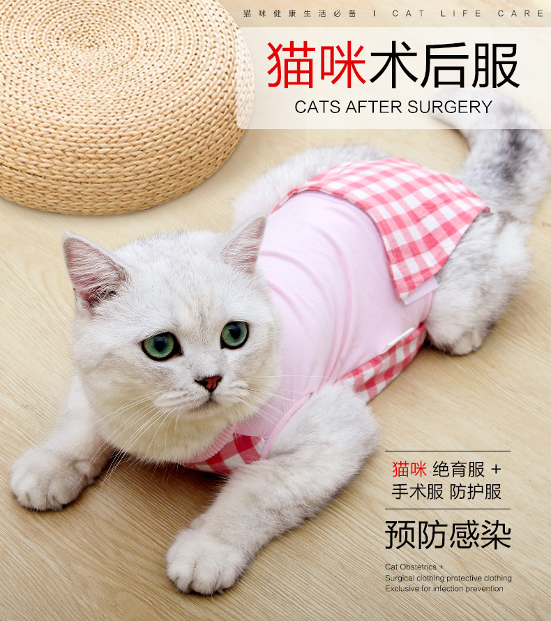 猫-格子绝育服1-_01