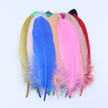 �S�ҬF�N��ɫDIY�Zë���h��ˇ��ë�ɹ�që�ػ��b����feathers