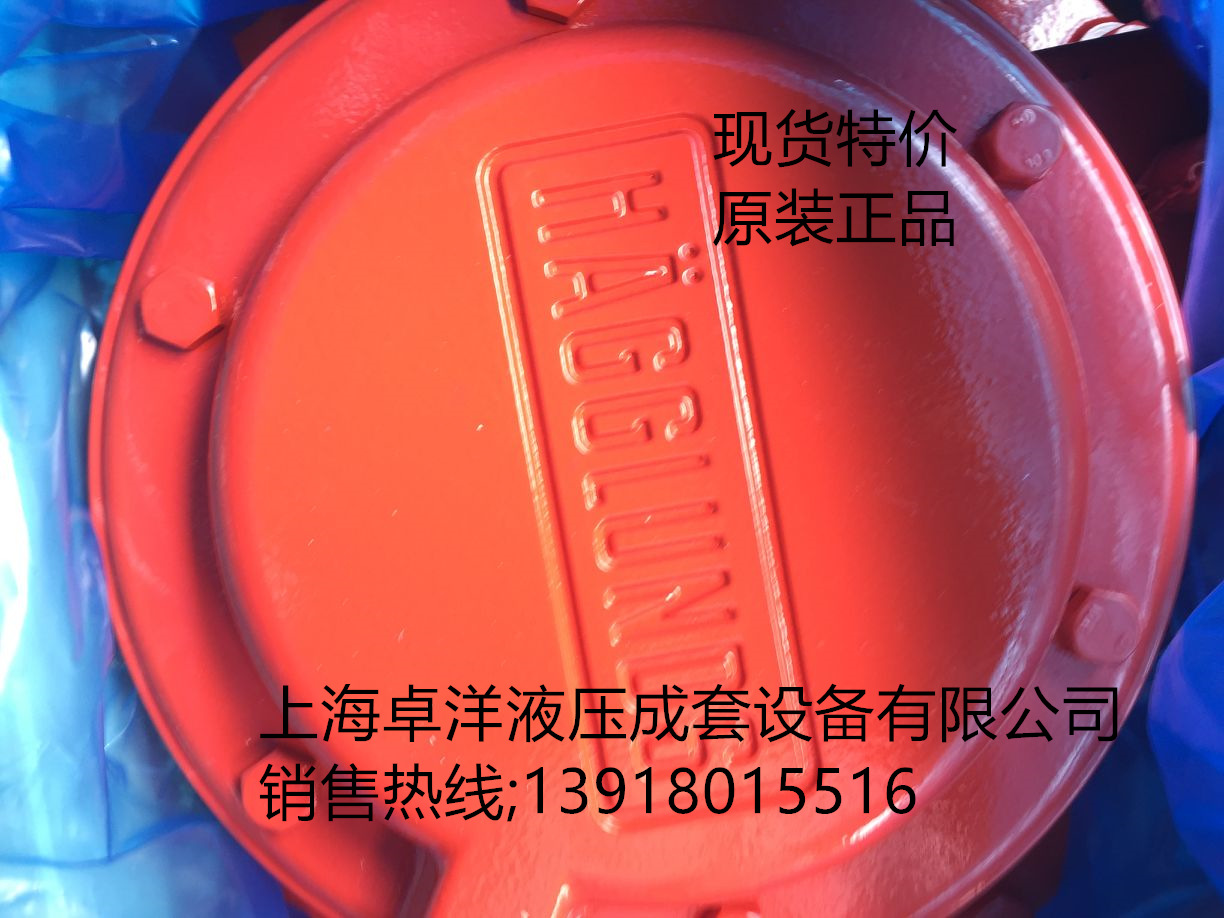 MB 84 33800 A2 LN 0200   现货销售HAGGLUNDS产品