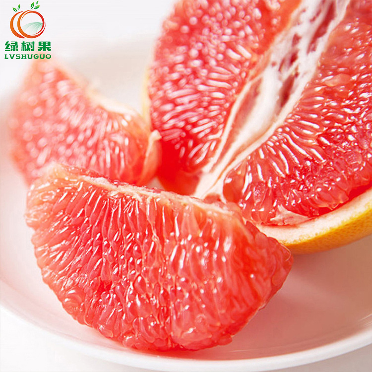 绿树果现货南非西柚红心葡萄柚孕妇水果当季新鲜水果包邮一件代发