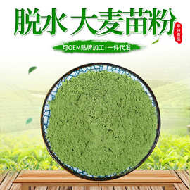 厂家现货脱水大麦苗粉大麦苗粉脱水蔬菜粉烘焙原料代餐粉散装批发