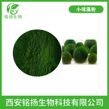 С ~G G Chlorella powder СԭϷ