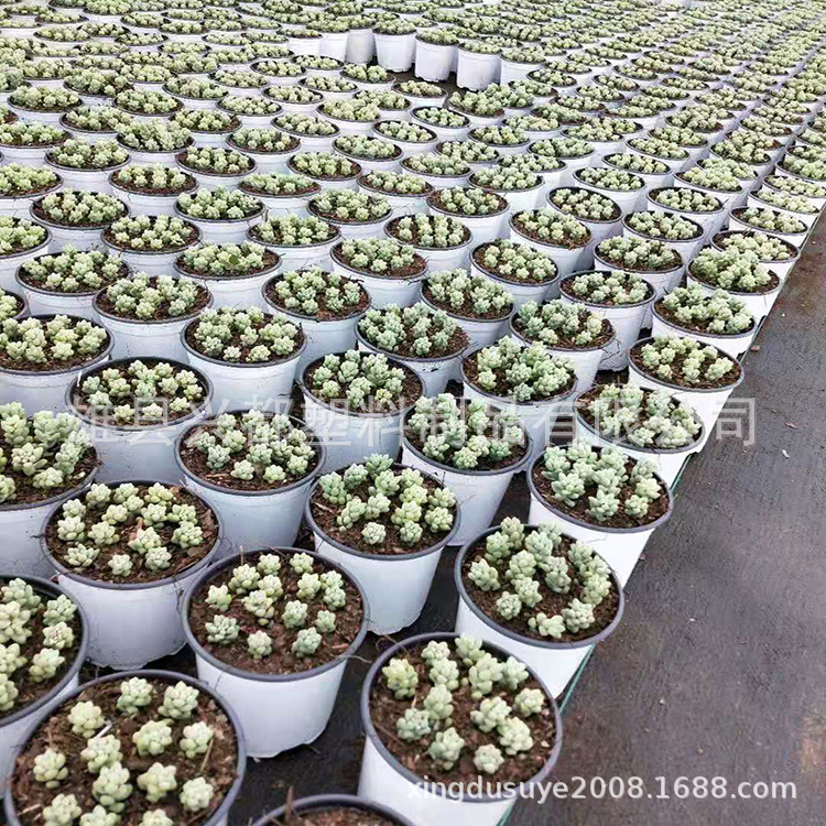 微信图片_201907271736151