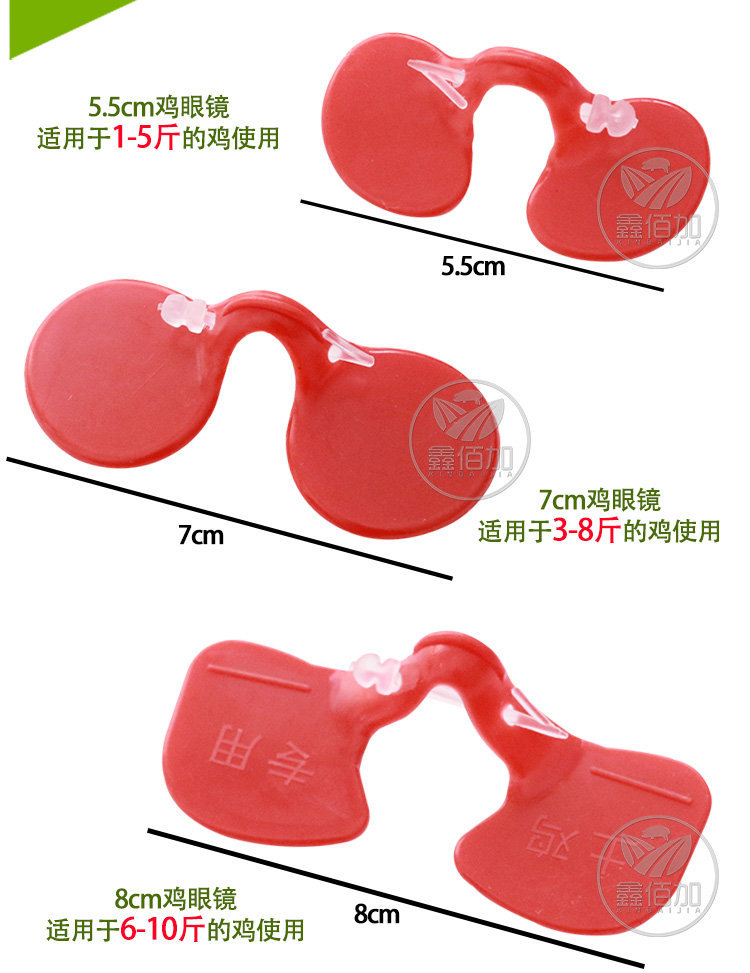 鸡眼镜AA详情页 (6).jpg