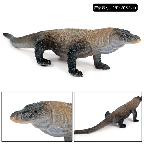 Cross-border simulated real-life static wild animal model children's toy monitor lizard Komodo dragon plastic ornaments