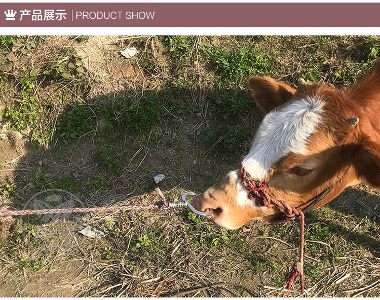 弹簧牛鼻环CB详情页 (6).jpg