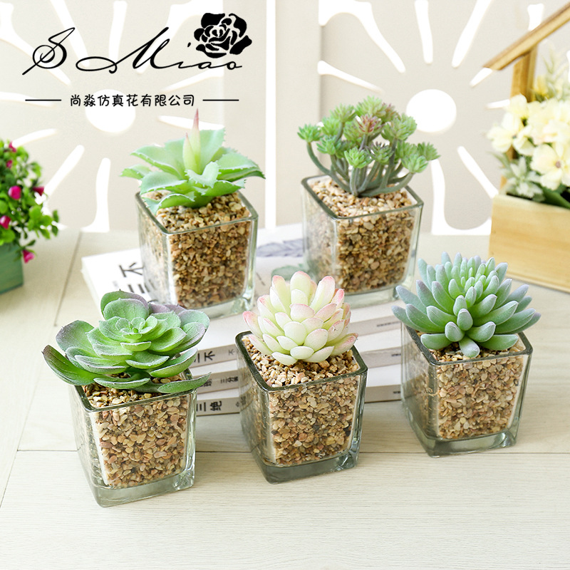 中四方玻璃盆仿真多肉植物盆景创意摆件仿真花厂家直销人造塑料花|ms