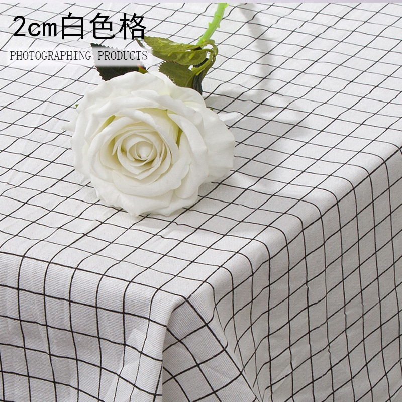 2cm white grid-encryption model