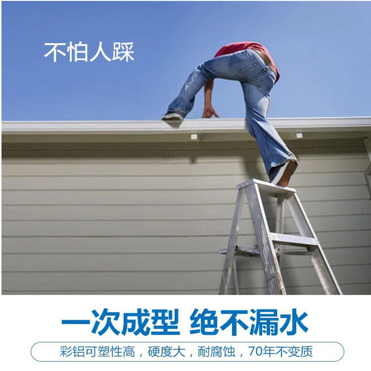 185420067408216537_副本