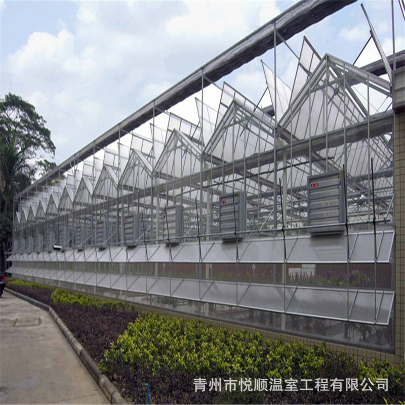 文洛型玻璃温室连栋温室温室蔬菜大棚智能玻璃连栋灌溉大棚灌水
