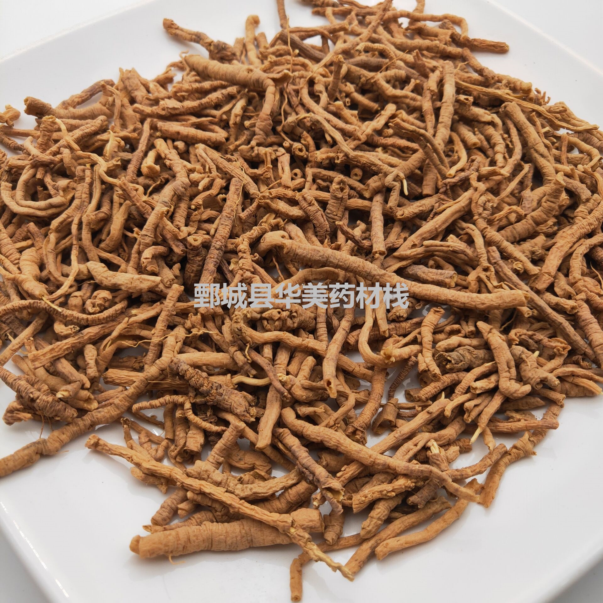 远志1000克 华美中药 中药材批发现货供应中号 远志 量大从优-阿里巴巴