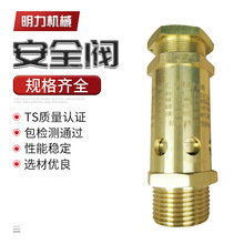 �S�����lA28X-16T����ʽ�~��ȫ�yй���y�Չ��C��ȫ�y�՚�p���y