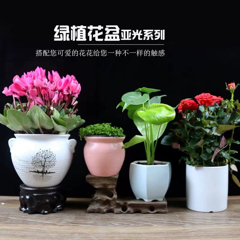 TTTJ цветок зеленый завод керамический цветочный горшок матовый цветочный горшок средние и средние растения керамический цветочный горшок оптом