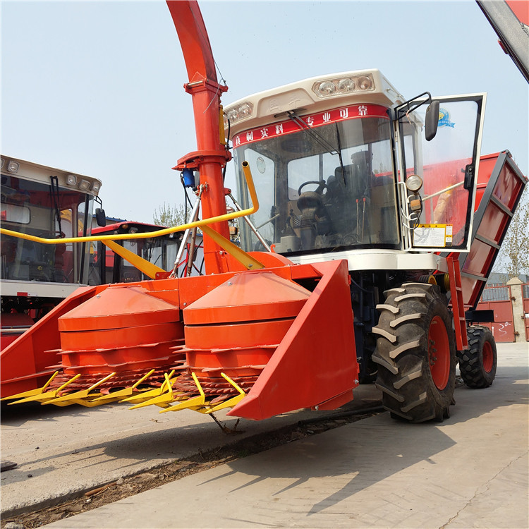 图片_20190406100404