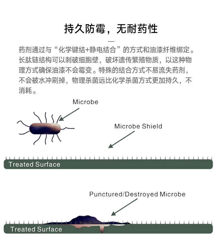 油性防霉抗菌剂