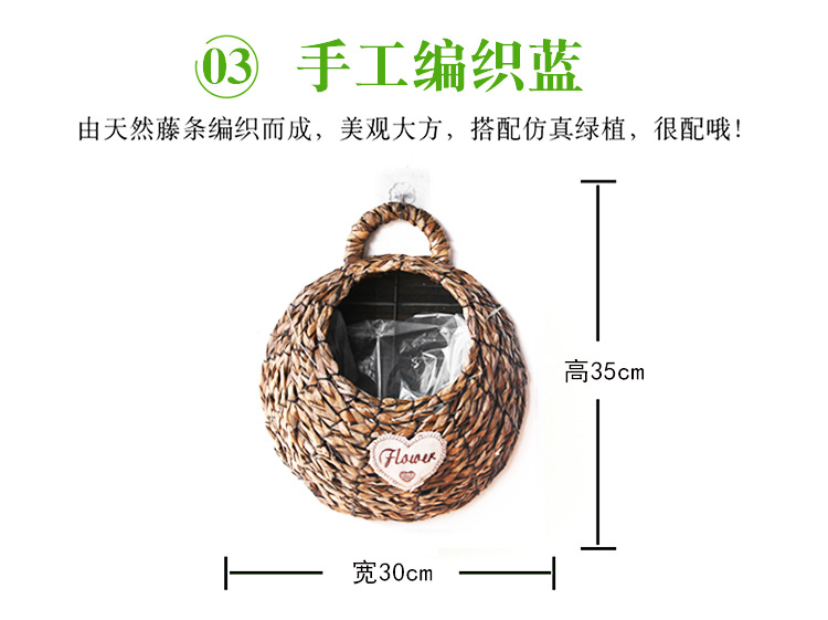 金钟柳 金钟柳壁挂