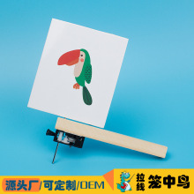拉线笼中鸟视觉停留学生幼儿园科学益智小创造科技小制作学生礼物
