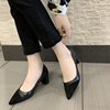 Fashionable work footwear pointy toe high heels, Korean style, wholesale