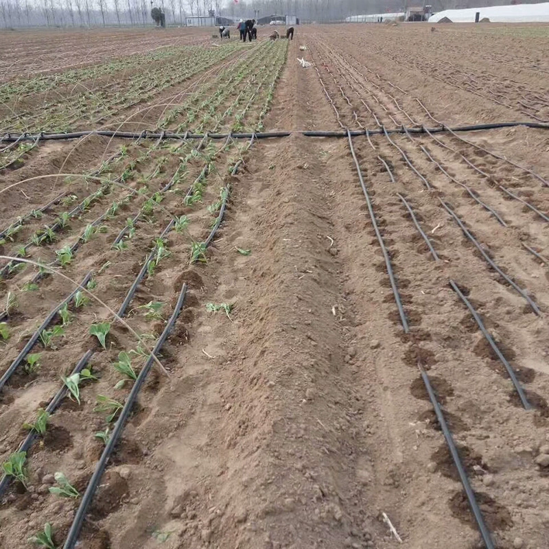 Сельскохозяйственное производство оросительный лабиринтный пояс-капельница большое количество Лабиринт Congyou капельный оросительный пояс боковой передний капельный оросительный пояс