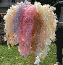 ���l�¿����F��3�洹�������ɲ� ��c���滨��Y�õ���b��Fڡ��