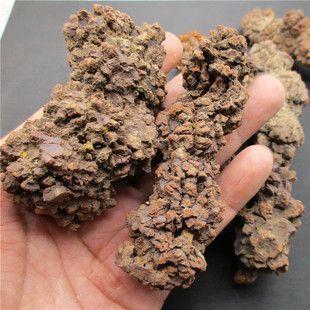 ��Ȼʷǰ�����S�㻯ʯ�˱�ԭʯ�V�[��ϡ�Vʯ�̌W�ղغ��F�V��