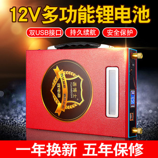 Դ��ʿ�늳�12V������100ah�������ۺ���믚����׃��������ƿ