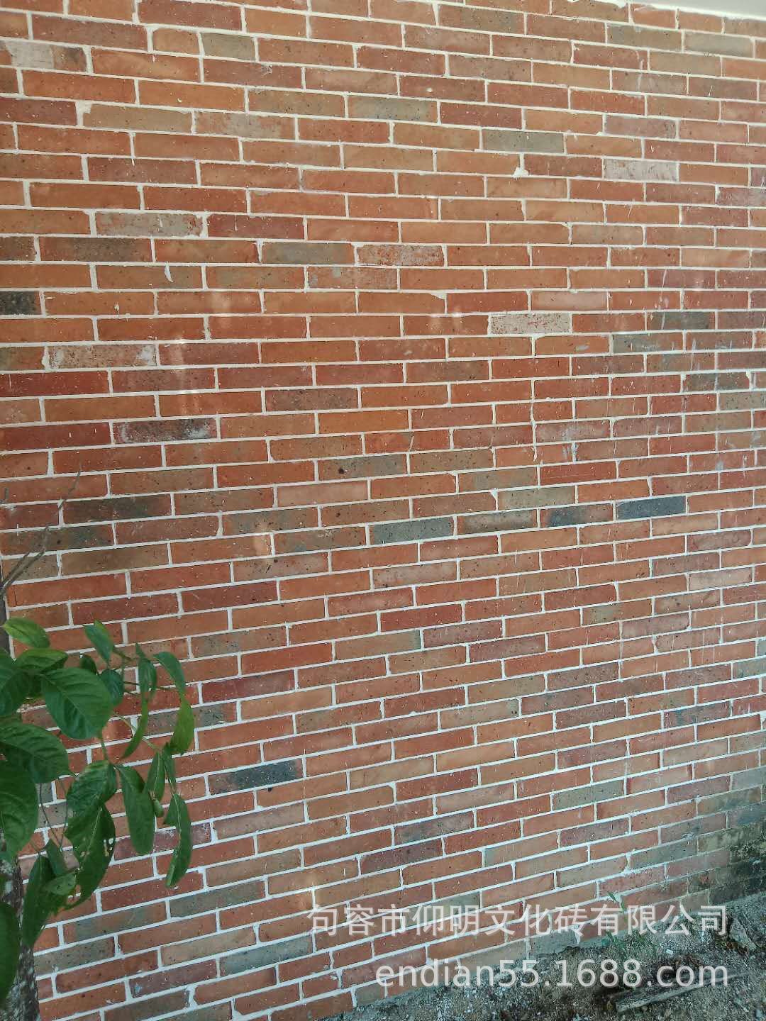 mmexport1567564391393