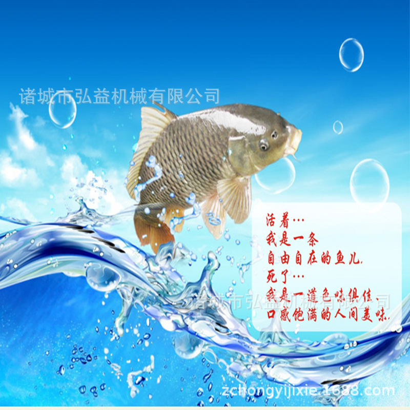 鱼肉采肉机 (2).jpg