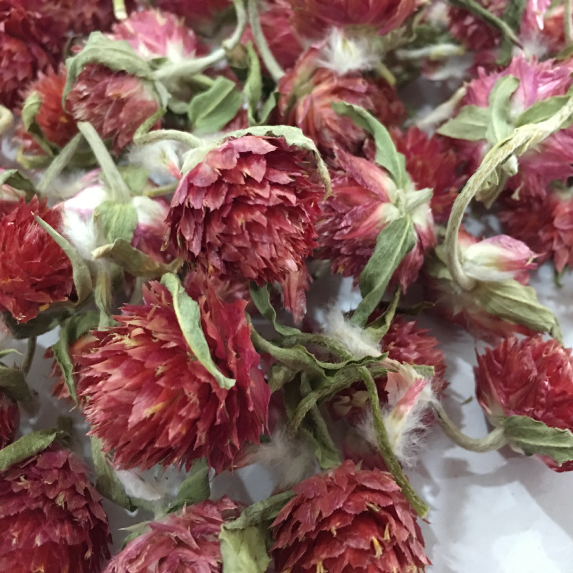 Dried Red Plum Blossom Flower Heads Hong Qiao Mei Loose Herbal Tea and Decorative Dried Flowers 500g specifications