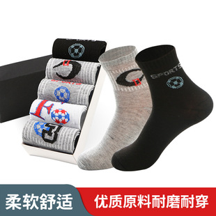 �m�������l������ʿ��Ͳ�m ���ﶬ�\���m���|͸�����m �S��ֱ�N