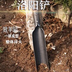 五金農用工具洛陽鏟鋼馬淬火挖樹鍬7914分寬挖洞取土考古鏟放羊鏟