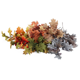 2021�¿��r�Ѓɲ�����~ �Ҿӿ͏d�����b���ֲ�� ���lֱ��