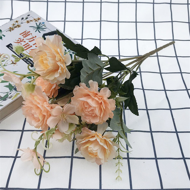 7头南方牡丹-主_12 (6).jpg