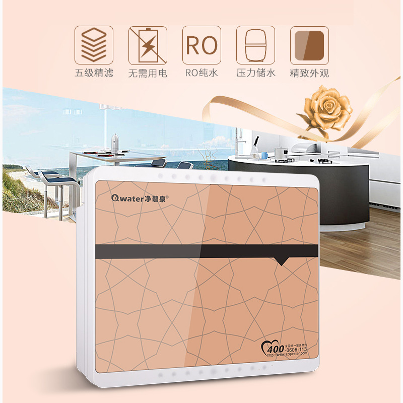家用直饮纯水机无电RO膜反渗透净水器箱式五级厨房过滤器会销OEM