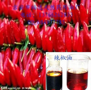 ��������  �l�ᾫ�͏S��ֱ�N����ă�