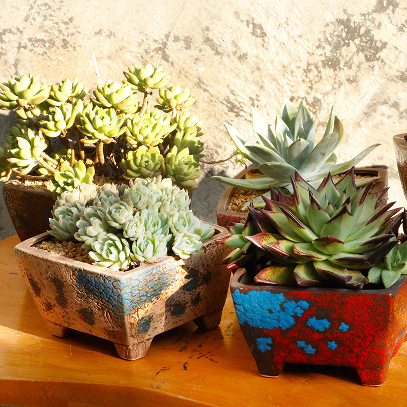 Ebony generous pot Group pot succulent large diameter plant flower pot stoneware breathable platter special offer