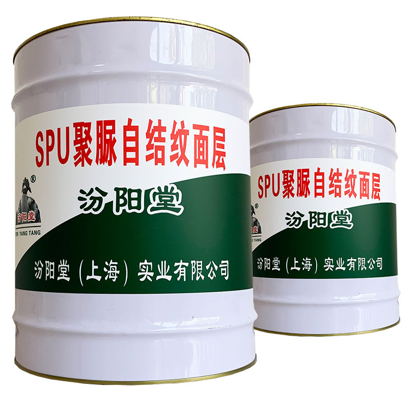 spu聚脲自结纹面层、包送货、spu聚脲自结纹面层