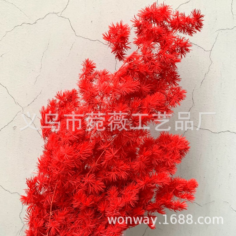 微信图片_20200607223450