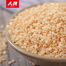 人民食品 糙米东北农家糙米五谷杂粮粗粮米可煮糙米饭