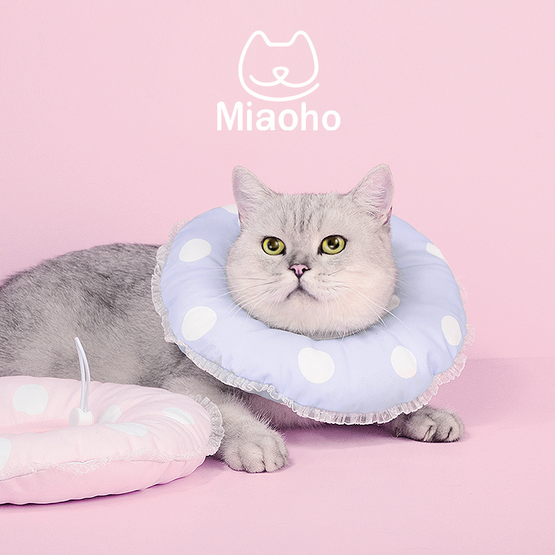 Miaoho Pets Cats and dogs Elizabeth