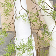 �ڹ�â���滨����٘�֦�Gֲ�p�@����ާ�ֲ���F��ާ�����b��쾰