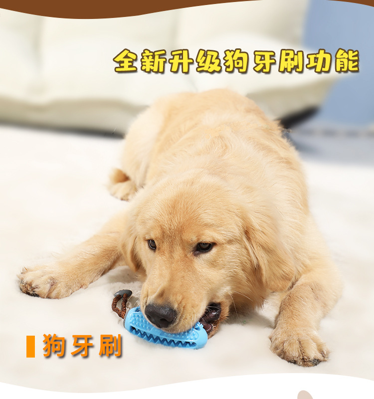 漏食球详情-gai_05