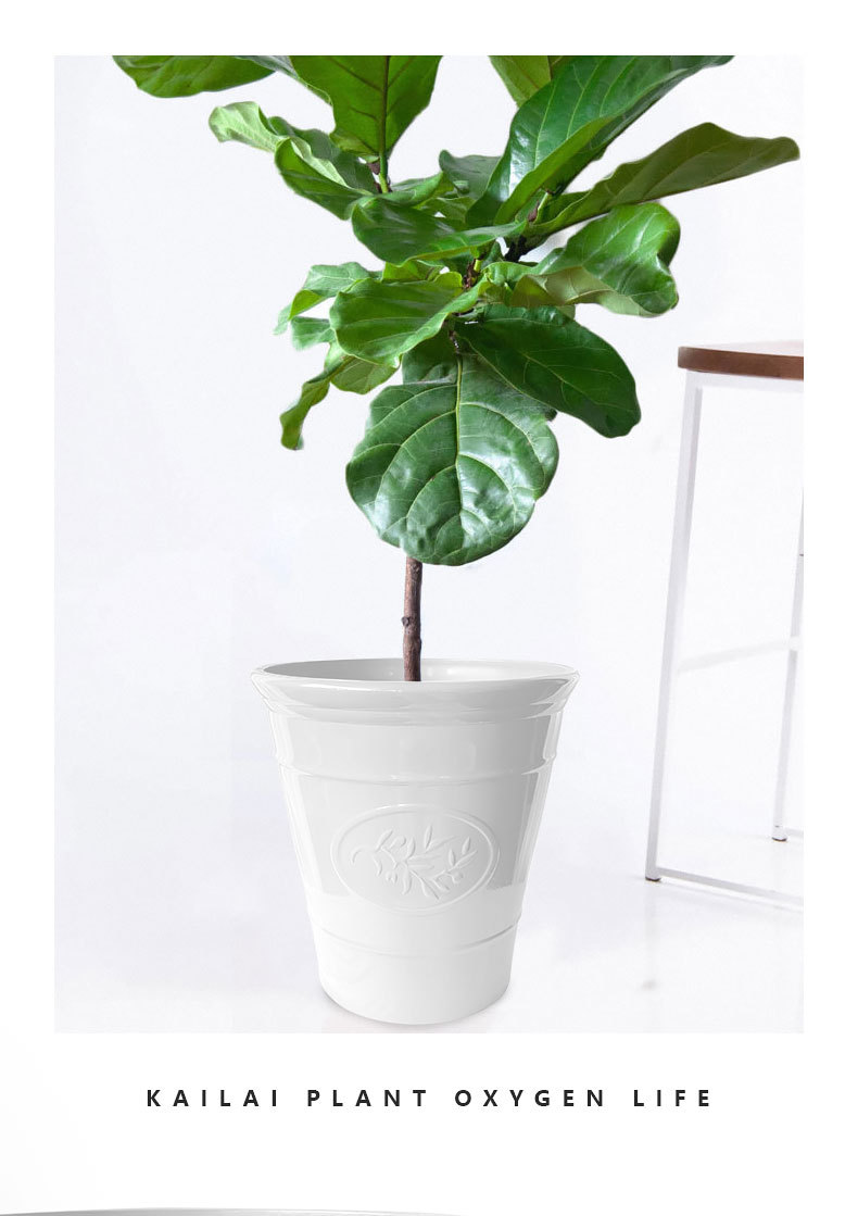 2020_06_27_KL180502_详情页_中文_790