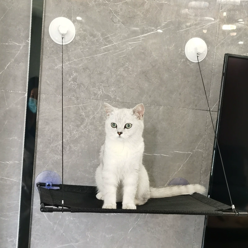 Оптовые новые подвесные окна для кошки, присоска для подвешивания, коты на солнце, летняя кошачья гнездо-курительная кошка