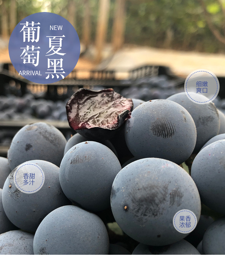 6e49220f70eff778348ec992db323c