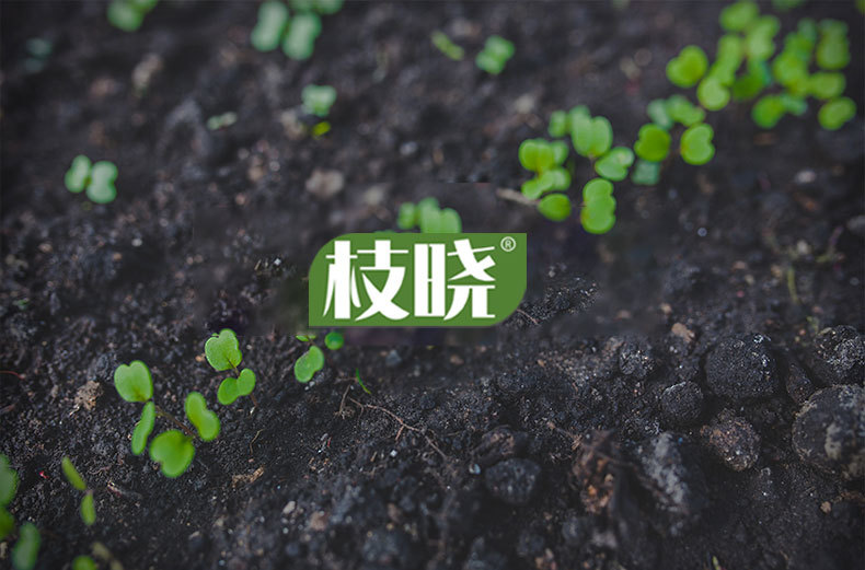 E-_工作_园艺D_园林圆盘_澳莉嘉详情页-园林固定架（无水