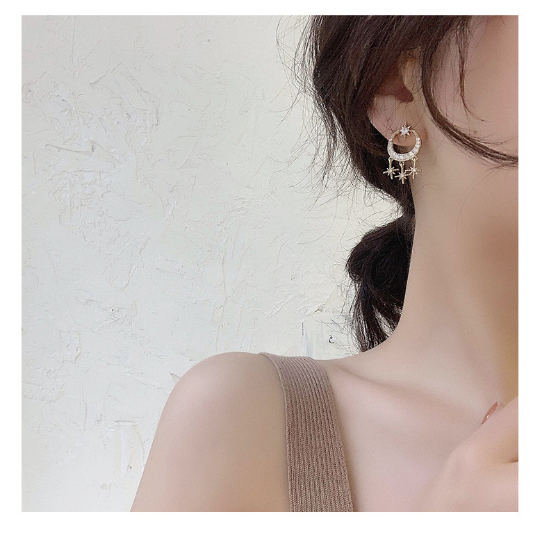 Earrings Temperament Simple Fashion Micro-set Zircon Earrings New  Wild Earrings Wholesale Nihaojewelry display picture 7